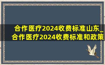 合作医疗2024收费标准山东_合作医疗2024收费标准和政策