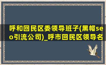 呼和回民区委领导班子(黑帽seo引流公司)_呼市回民区领导名单公示