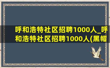 呼和浩特社区招聘1000人_呼和浩特社区招聘1000人(黑帽seo引流公司)