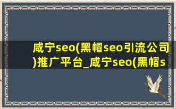 咸宁seo(黑帽seo引流公司)推广平台_咸宁seo(黑帽seo引流公司)推广营销软件