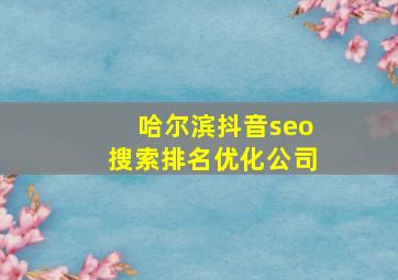 哈尔滨抖音seo搜索排名优化公司