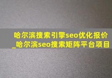 哈尔滨搜索引擎seo优化报价_哈尔滨seo搜索矩阵平台项目