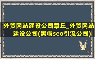 外贸网站建设公司章丘_外贸网站建设公司(黑帽seo引流公司)搭建的10个步骤