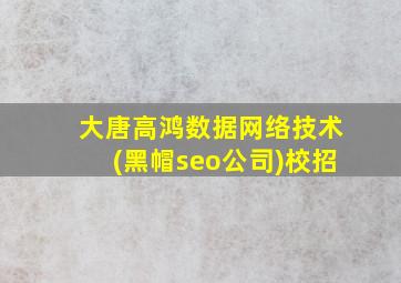 大唐高鸿数据网络技术(黑帽seo公司)校招