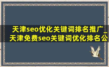 天津seo优化关键词排名推广_天津免费seo关键词优化排名公司