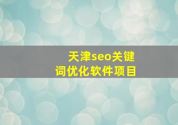 天津seo关键词优化软件项目