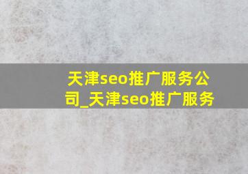天津seo推广服务公司_天津seo推广服务