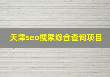 天津seo搜索综合查询项目