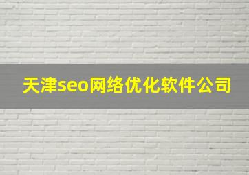 天津seo网络优化软件公司