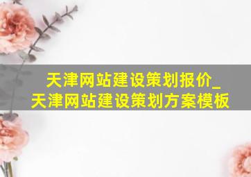 天津网站建设策划报价_天津网站建设策划方案模板