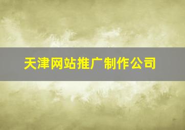 天津网站推广制作公司