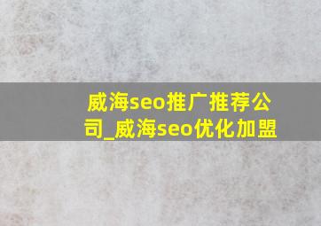 威海seo推广推荐公司_威海seo优化加盟