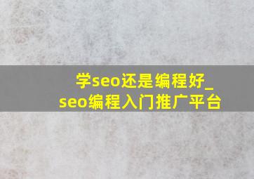 学seo还是编程好_seo编程入门推广平台