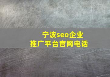 宁波seo企业推广平台官网电话