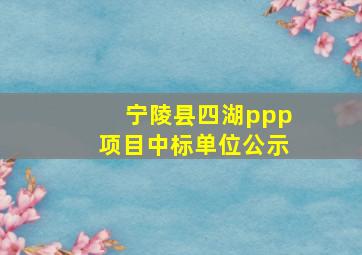 宁陵县四湖ppp项目中标单位公示