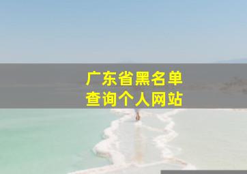 广东省黑名单查询个人网站