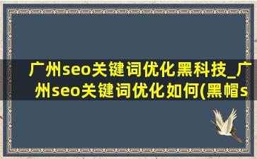 广州seo关键词优化黑科技_广州seo关键词优化如何(黑帽seo引流公司)