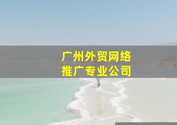 广州外贸网络推广专业公司