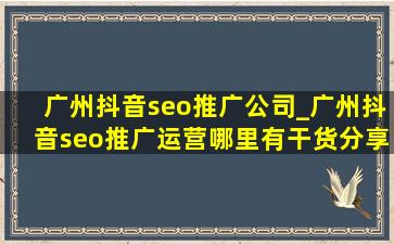 广州抖音seo推广公司_广州抖音seo推广运营哪里有干货分享