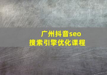 广州抖音seo搜索引擎优化课程