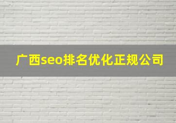 广西seo排名优化正规公司