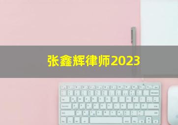 张鑫辉律师2023