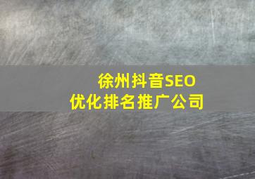 徐州抖音SEO优化排名推广公司