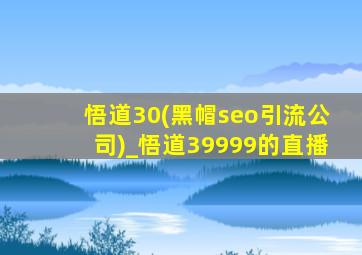 悟道30(黑帽seo引流公司)_悟道39999的直播