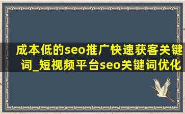 成本低的seo推广快速获客关键词_短视频平台seo关键词优化获客