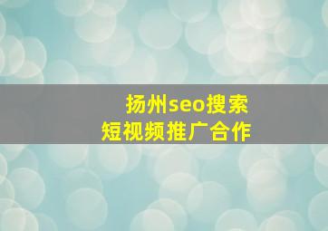 扬州seo搜索短视频推广合作