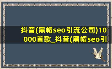 抖音(黑帽seo引流公司)10000首歌_抖音(黑帽seo引流公司)10000首歌dj