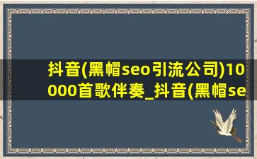 抖音(黑帽seo引流公司)10000首歌伴奏_抖音(黑帽seo引流公司)10000首歌起风了