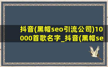 抖音(黑帽seo引流公司)10000首歌名字_抖音(黑帽seo引流公司)10000首歌超长