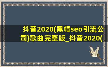 抖音2020(黑帽seo引流公司)歌曲完整版_抖音2020(黑帽seo引流公司)歌曲完整版50首