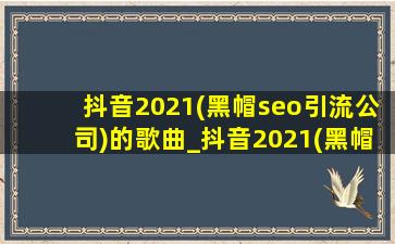 抖音2021(黑帽seo引流公司)的歌曲_抖音2021(黑帽seo引流公司)的歌曲下载