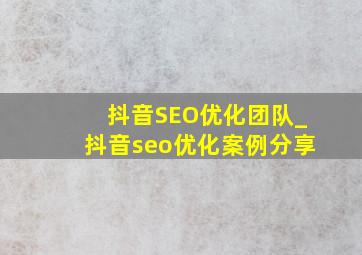 抖音SEO优化团队_抖音seo优化案例分享