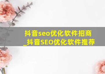 抖音seo优化软件招商_抖音SEO优化软件推荐