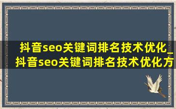 抖音seo关键词排名技术优化_抖音seo关键词排名技术优化方案