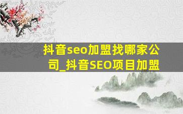 抖音seo加盟找哪家公司_抖音SEO项目加盟