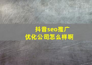 抖音seo推广优化公司怎么样啊
