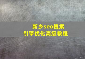 新乡seo搜索引擎优化高级教程