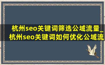 杭州seo关键词筛选公域流量_杭州seo关键词如何优化公域流量
