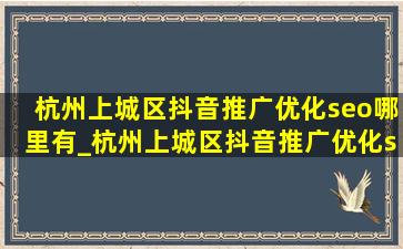 杭州上城区抖音推广优化seo哪里有_杭州上城区抖音推广优化seo行情