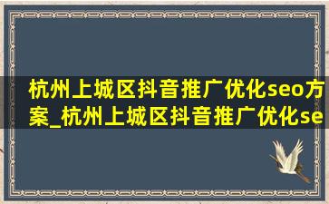杭州上城区抖音推广优化seo方案_杭州上城区抖音推广优化seo行情