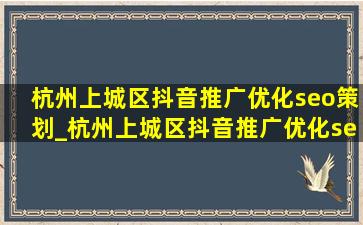 杭州上城区抖音推广优化seo策划_杭州上城区抖音推广优化seo行情