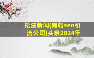 松滋新闻(黑帽seo引流公司)头条2024年