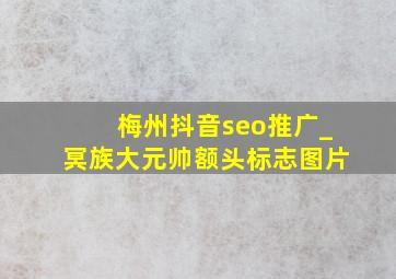 梅州抖音seo推广_冥族大元帅额头标志图片