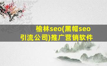 榆林seo(黑帽seo引流公司)推广营销软件