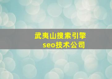 武夷山搜索引擎seo技术公司