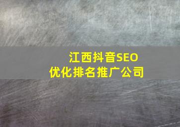 江西抖音SEO优化排名推广公司